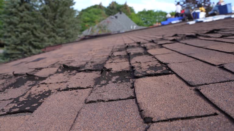 Best Emergency Roof Repair Services  in Rolesville, NC