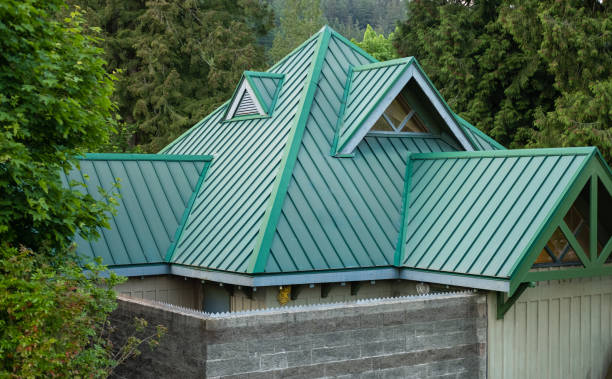 Roof Coating Services in Rolesville, NC