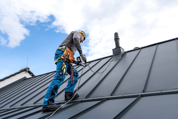 Best Skylight Installation and Repair  in Rolesville, NC